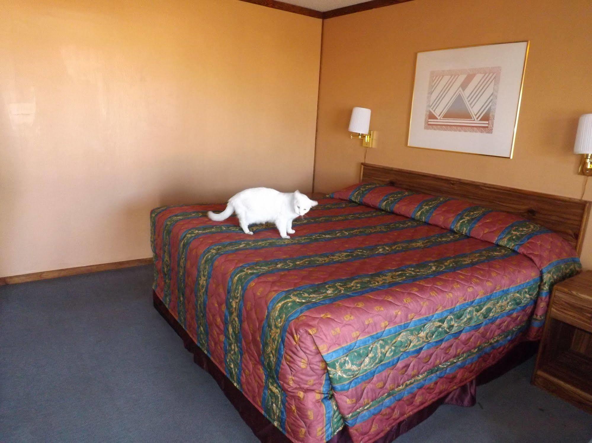 Tristar Inn Xpress Tucumcari Exteriör bild